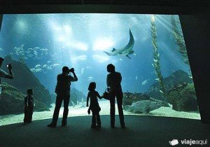 oceanario-lisboa-portugal